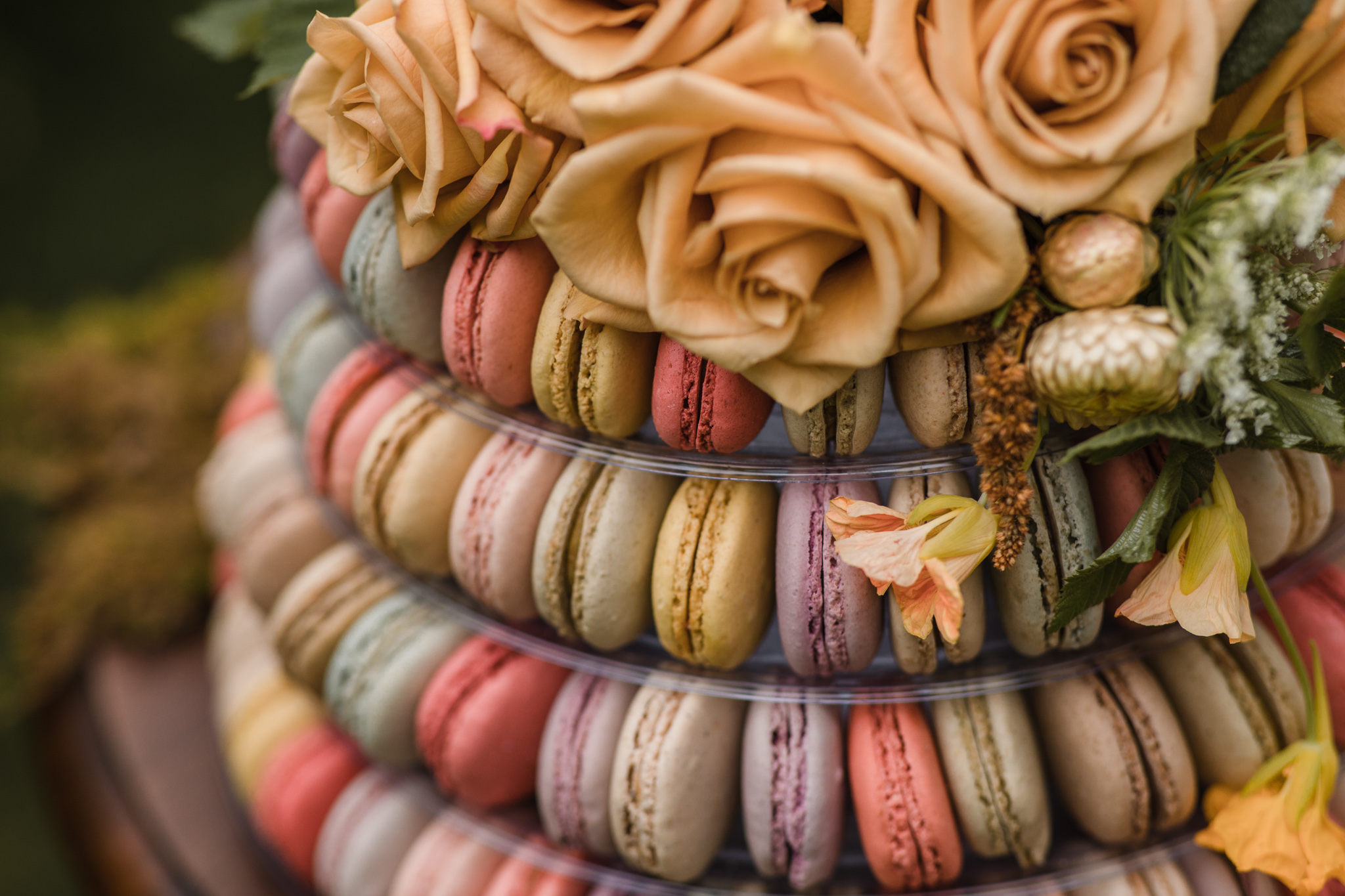 Madame Macaron MKE 