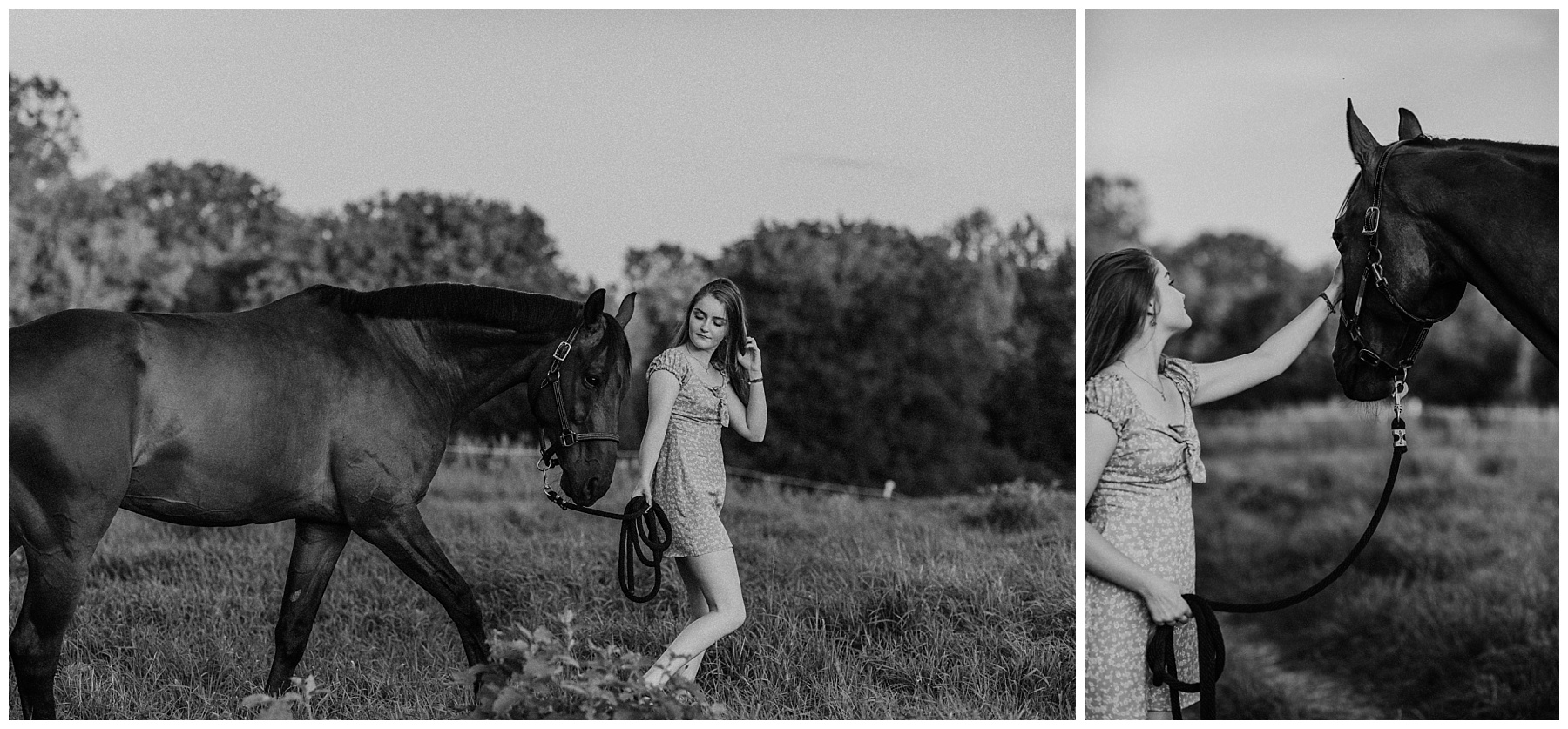 Timeless black and white senior pictures with a horse in a field in Wisconsin