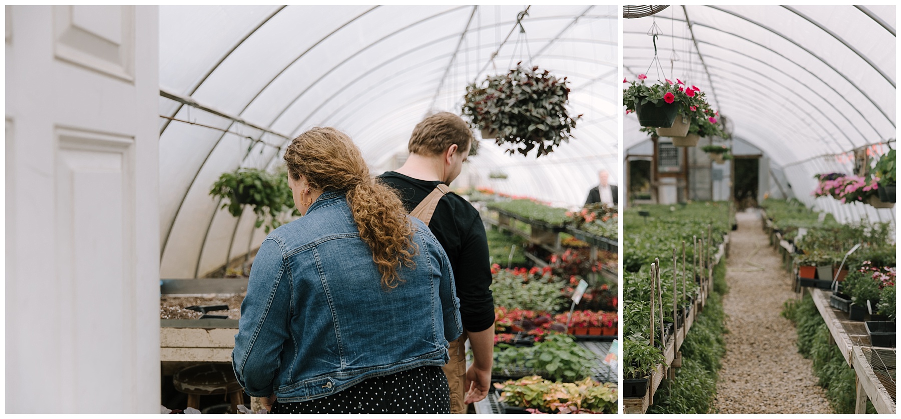 Couple walking into greenhouse for engagement pictures. Image shows the back of their heads with curly hair in a ponytail.