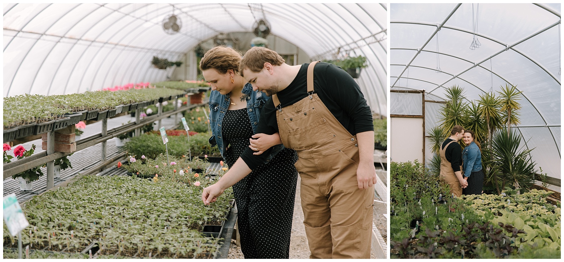 couple shopping for plants in a Wisconsin greenhouse. Girl is wearing black jumpsuit with polka dots and a denim jacket. Guy is wearing a black long sleeved shirt and khaki overalls