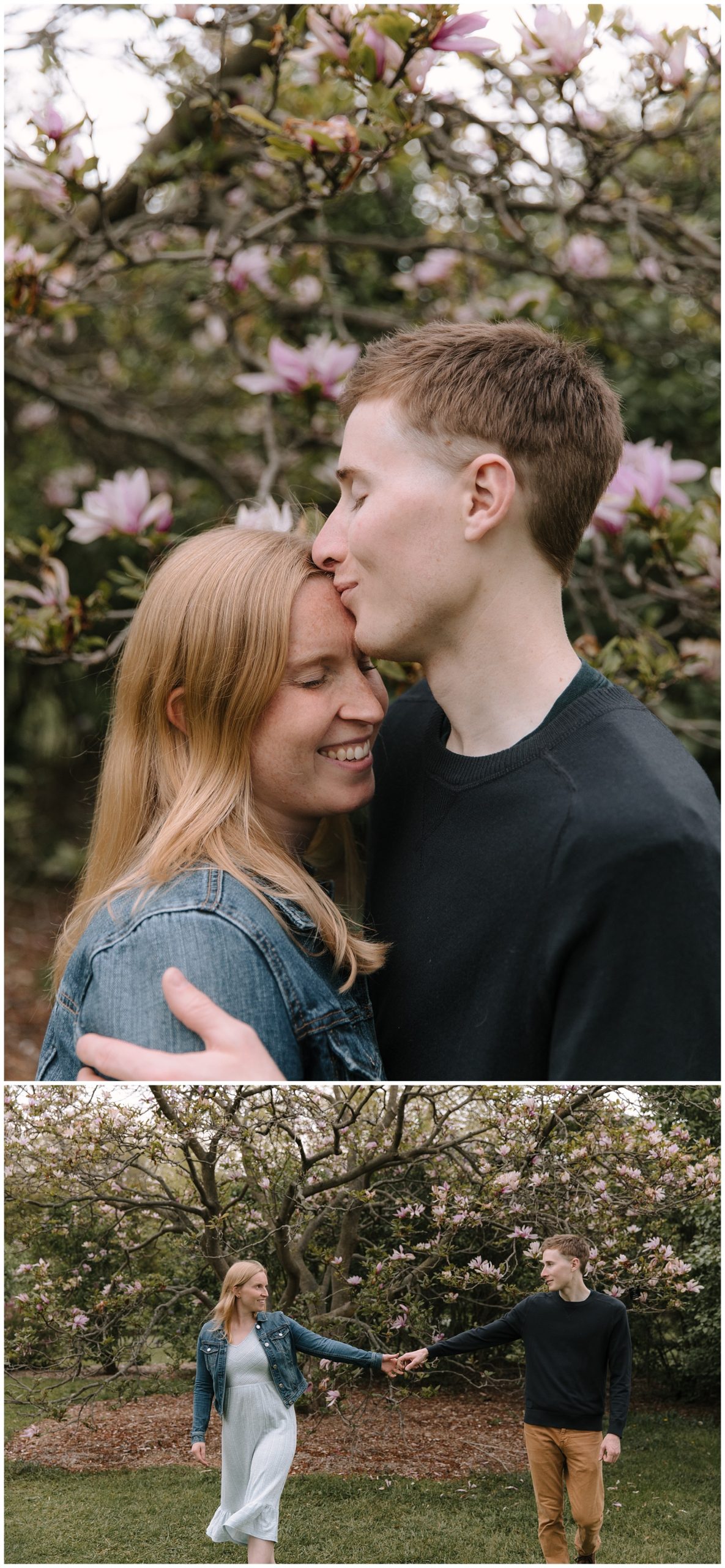 Guy kisses girl on the head in front of a magnolia tree in Madison Wisconsin for their engagement session