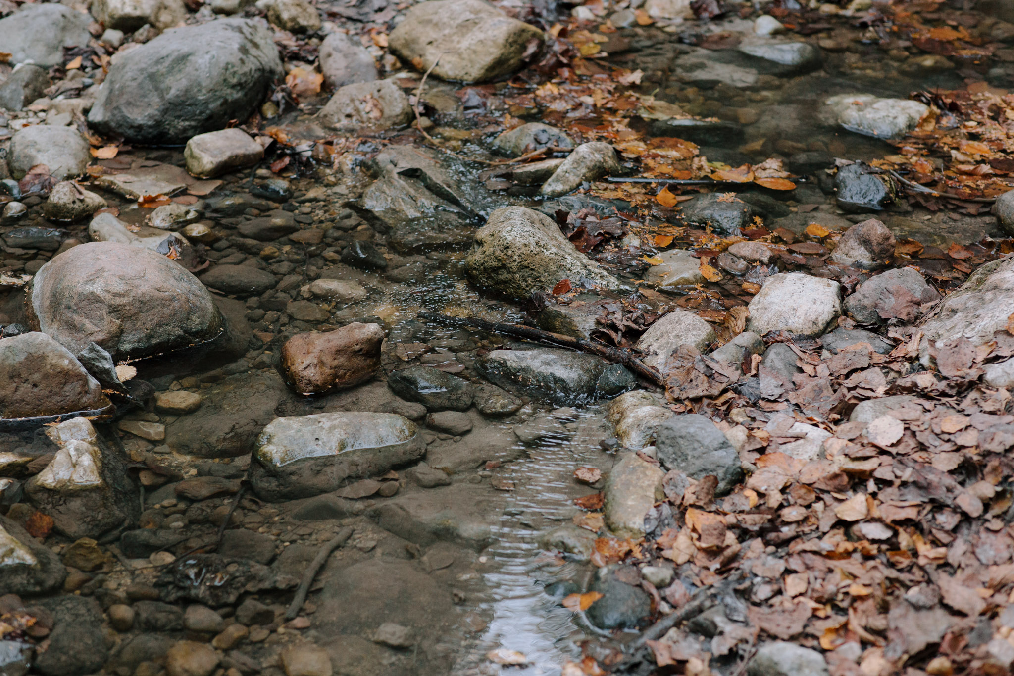 Creek in the fall with rocks and orange leaves